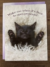 Leanin Tree Birthday Greeting Card  Wake Me Up When It  s Time To Open Presents  