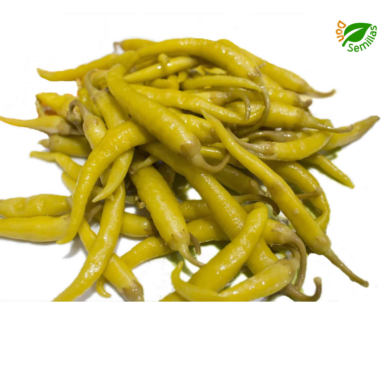 Pimiento Guindilla Blanca de Vinagre ( 50 semillas ) para encurtido