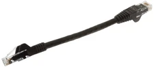 6in Black Cat6 Cable