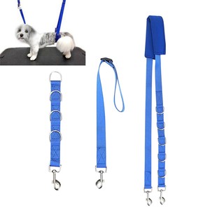 noose leash