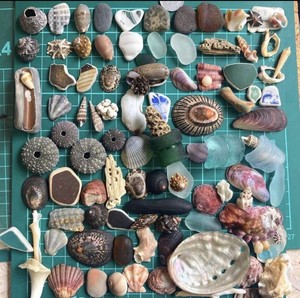 onigiraaaaaaaaaz | eBay Stores