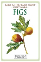 C. Thornton | Figs | Taschenbuch | Englisch (2014) | Kartoniert / Broschiert