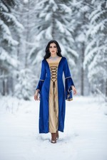 Womens Blue and Gold Renaissance Medieval Velvet Dress Princess Costume