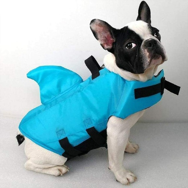 small dog life vest