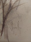 Pussy Willows Watercolor Painting Original Soft Spring Botanical Art By S. MAYS — photo 3