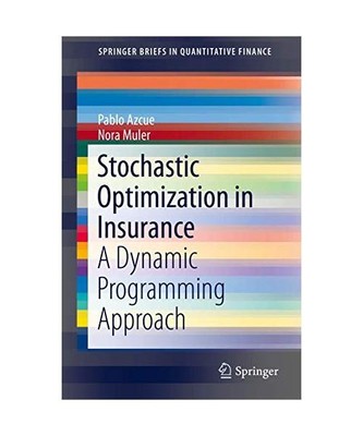Stochastic Optimization in Insurance: A Dynamic Programming Approach: A Dynamic 