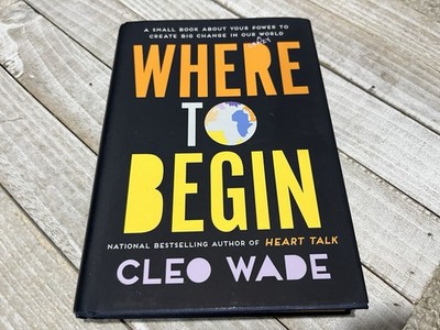Where to Begin: A Small Book about Your Power to Create Big Change in Our Crazy