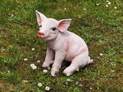 Gartenfigur Schwein Ferkel sitzend Haus Garten Deko lebensecht Figur #9197