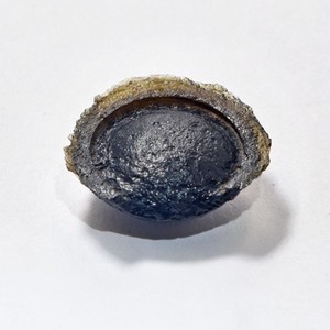 Australite (Australian Tektite) - Flanged Button, about 80% intact
