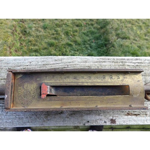 Old Chatillon's Iron Clad 100 lb. Fish Scale