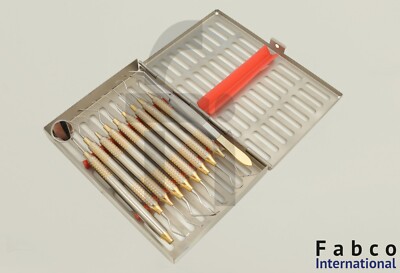 Professional Dental Oral Hygiene Kit Set Of 10 Deep Cleaning with Cassette
