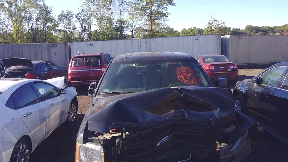 2009–2014 Ford F-150 Driver Front Door Trim Panel – LH Interior Foto 4 de 4