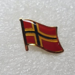 Norway Pin | eBay