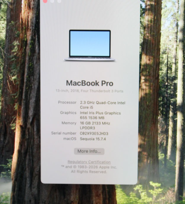 Apple MacBook Pro 13