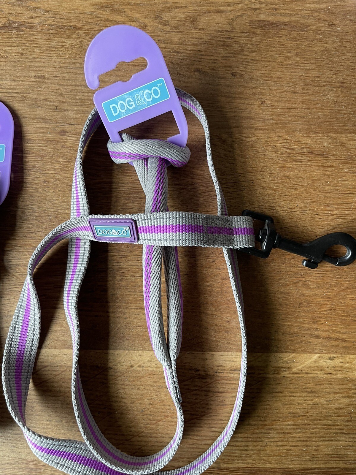 Hemmo and Co, Dog & Co Medium Dog Collar and Lead Set with Trigger Clip