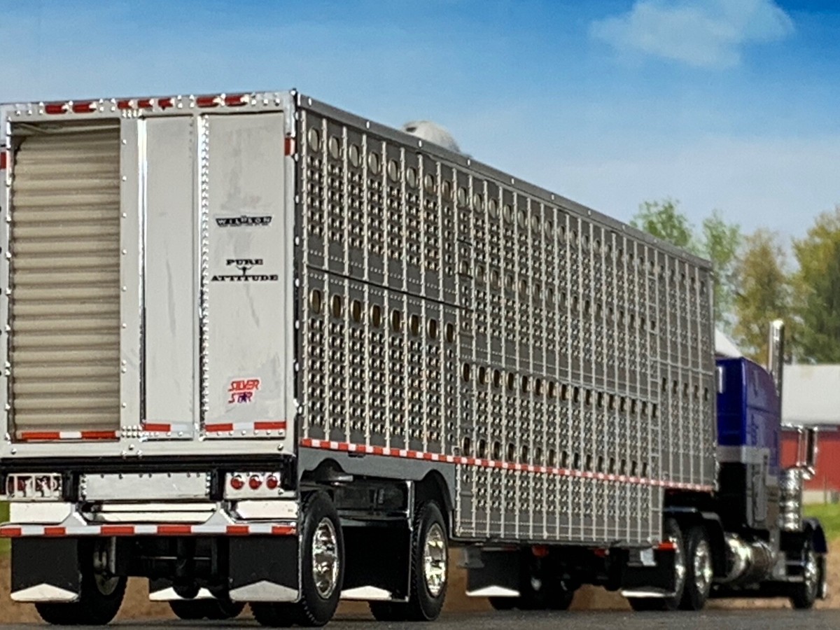 Corno Di Toro - Texas Hot Peppers - Foto 12