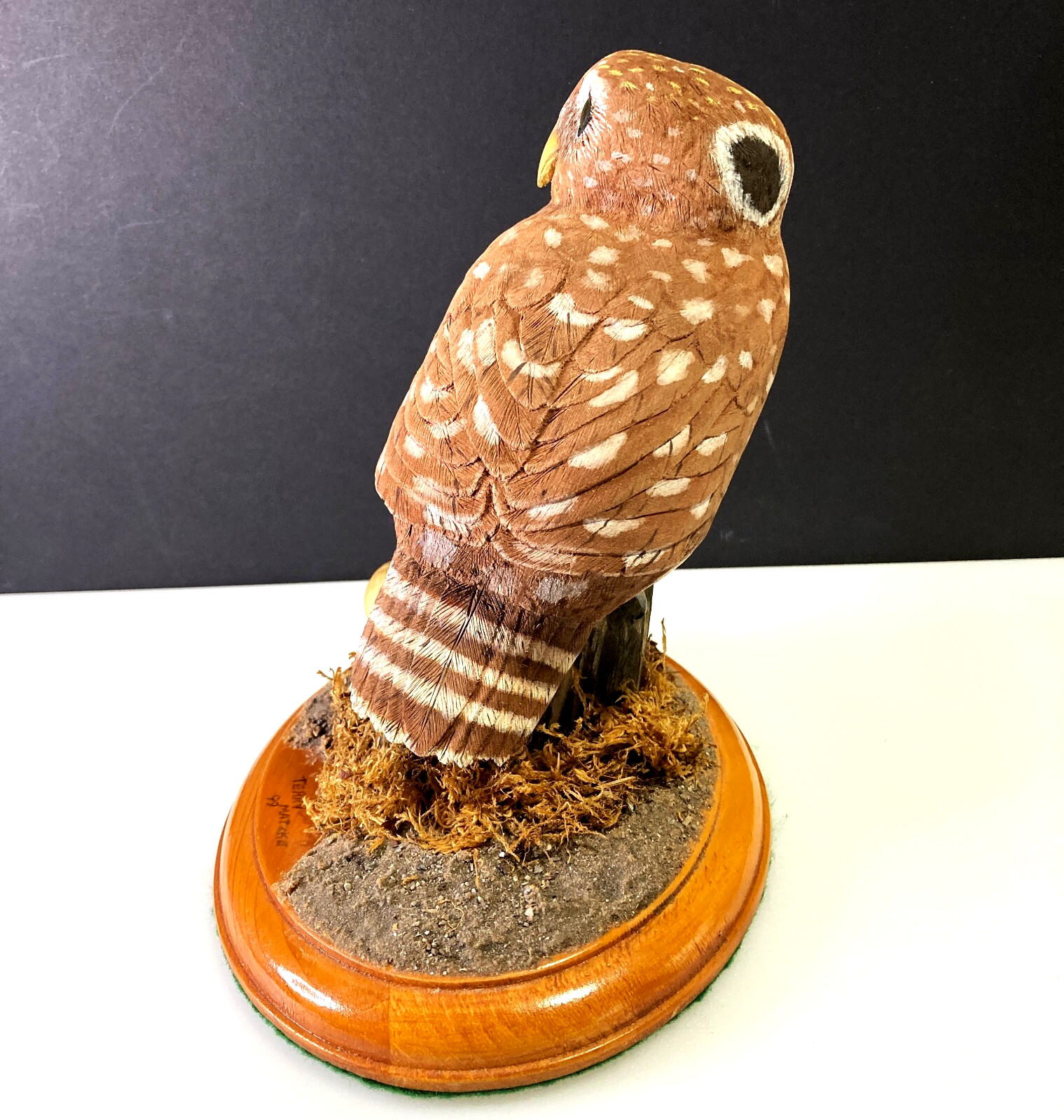 BLIND AWARD-WINNING MASTER CARVER Terry Matzke 7.5" Ferruginous Pygmy Owl