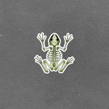 Cute Green Skeleton Anatomy Sticker Decal Art Print 7001