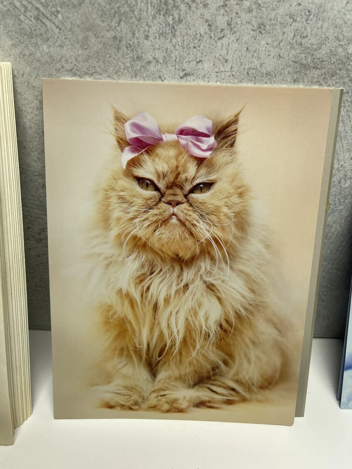 Cat Kitty Cards Rachael Hale Leanin’Tree With Envelopes Duplicates - Image 3 of 4