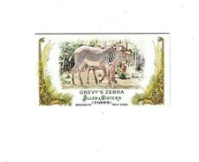2011 Topps Allen and Ginter Mini Animals in Peril #AP18 Grevy's Zebra