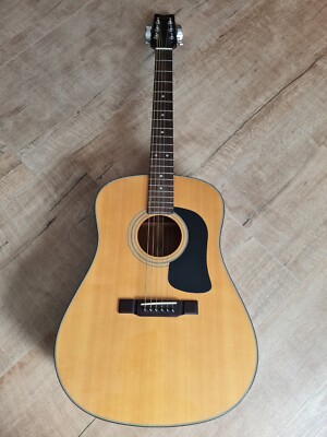 Washburn Westerngitarre D 12 N