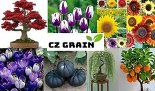 Here Comes The Sun Sunflower Seeds Mix 200+ Seeds Made in USA