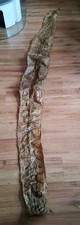 Sehr Alte Antike Echte Schlangenhaut ,   Ca 310 X 30 cm Python Boa? Leder