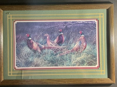 Vintage Print by Bradshaw '' Ring Neck Pheasants'' 3 Roosters 1 Hen Matted Framed