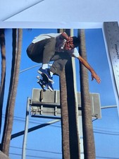 エンタメ記念品のスケボー | eBay公認海外通販サイト | セカイモン