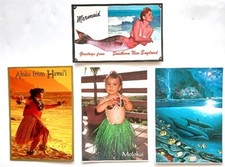 (4) Mermaid Wyland Art & Keiki Hula Photo POSTCARDS Hawaii - New