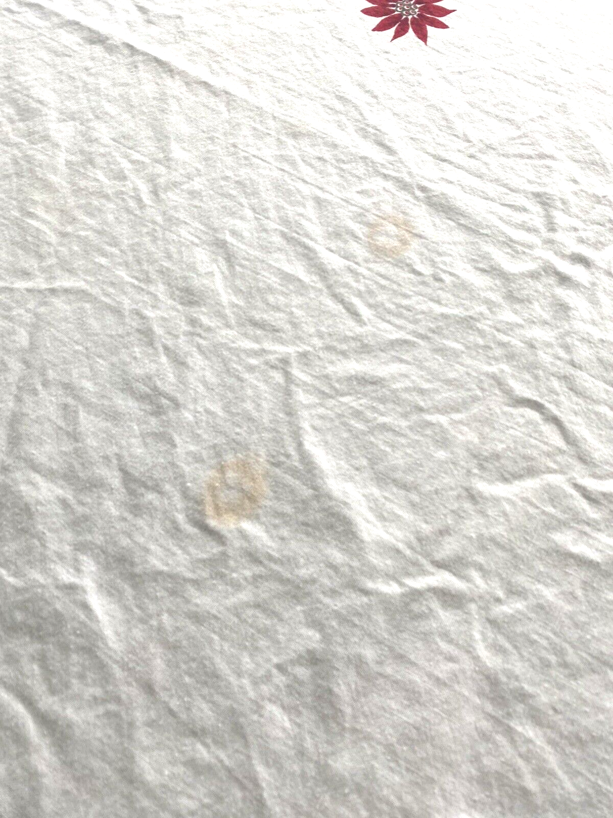 Picture 4 of 10