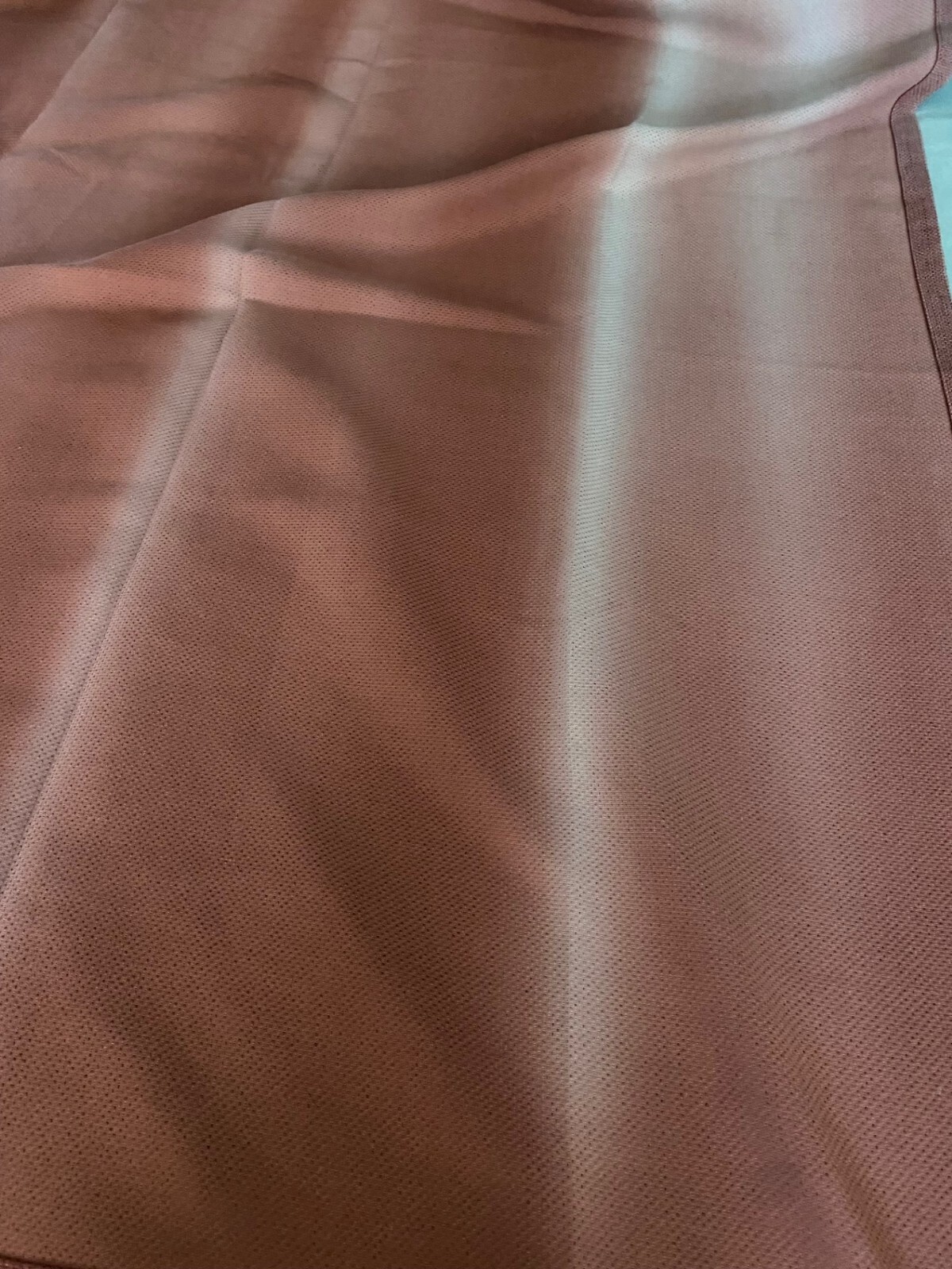 Bed Bath & Beyond 2 panels with grommets rust color