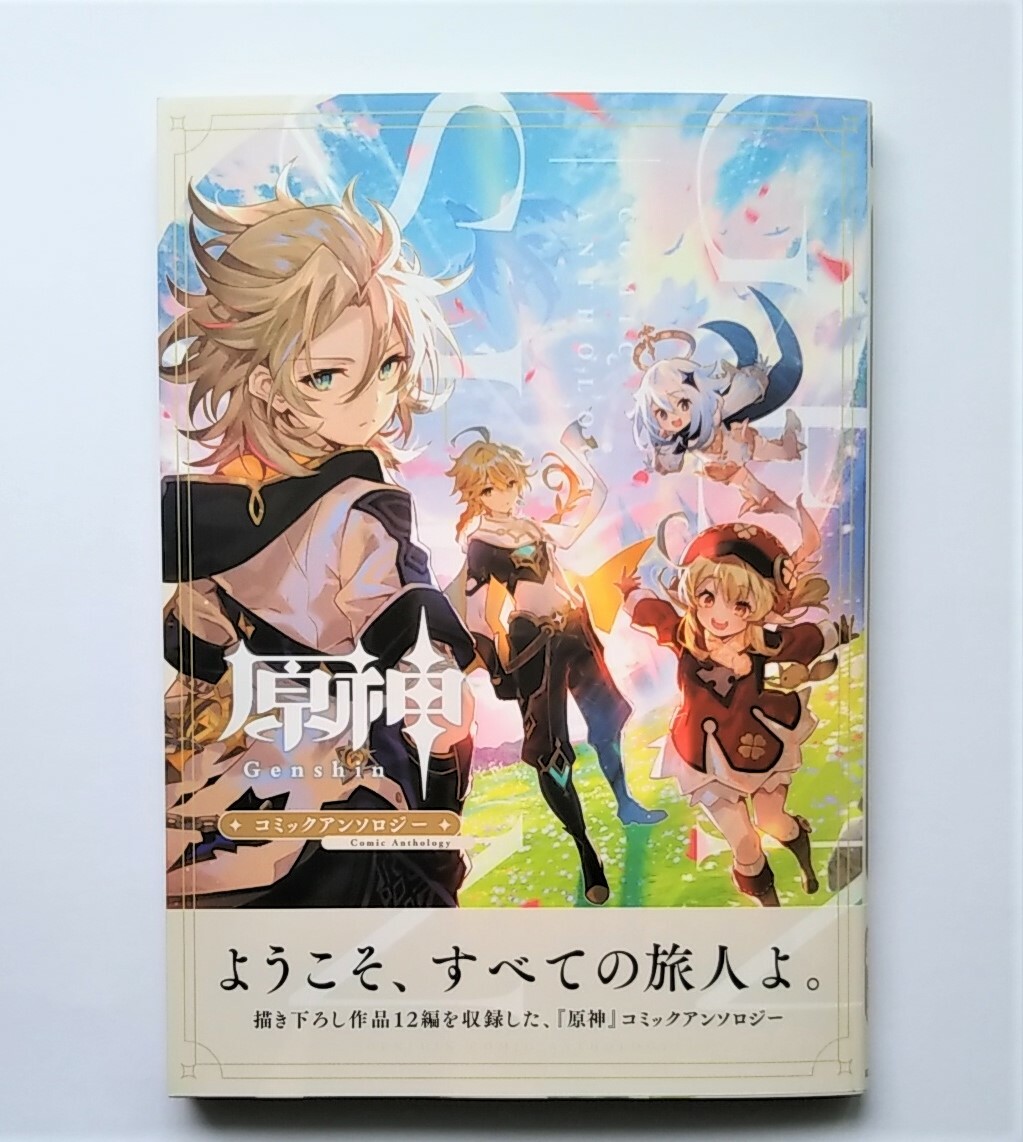 JAPAN Guilty Crown Anthology Comic (manga book)