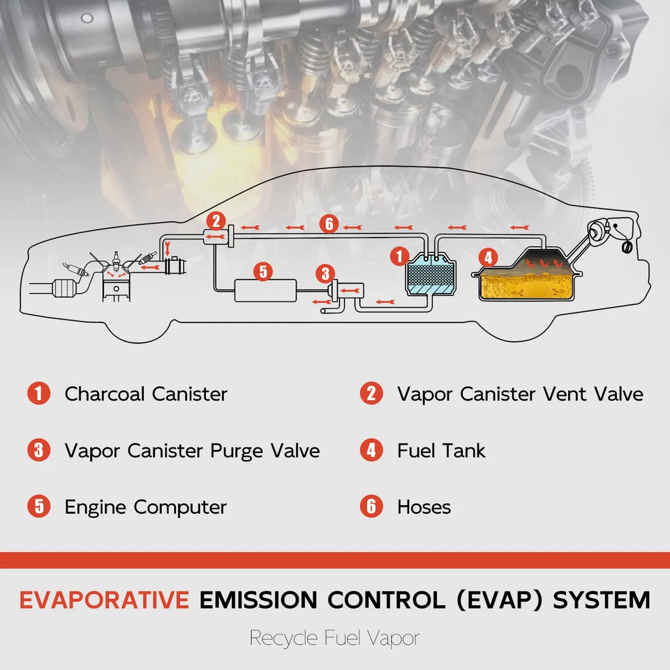 Solenoide de purga de bote de vapor para modelos selectos 97-04 Ford Lincoln 911-231 Foto 4 de 4