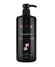 Totes - Color Safe Shampoo For All Hair Types Floral Scented 750ml. 10.65 per litre