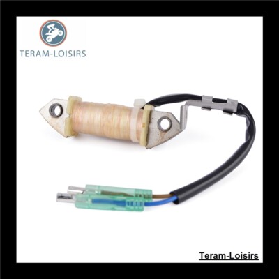 Stator Lichtmaschine für Yamaha 9.9PS FT9.9D M(E/W)HS/L/XL von 1999 bis 2008