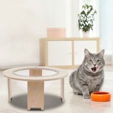 Space Capsule Clear Capsule Pet Cat Bed, Small Pets Bed , Freestanding Cat Room