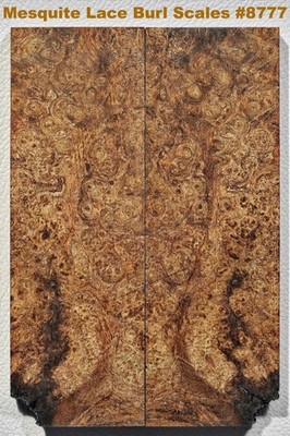 Absolutely Beautiful Stabilized Mesquite Lace Burl scales 8777, 6 1/2 x 2 x 3/8+