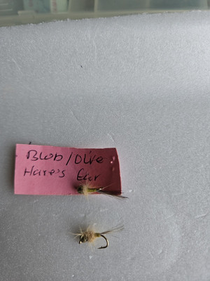 Brass BH Blob Olive Hare Ear Size12, Last 2 In Stock