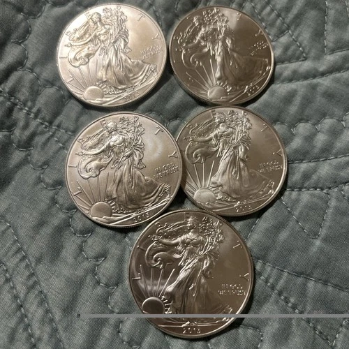 5 - 1 Ounce Uncirculated Silver Eagles Dated 2013