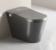 Smart Toilet One Piece Bidet Toilet w/Bidet Built In, Auto Open/Close Seat, Grey