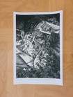 Nakatomi Bernie Wrightson Signed "REST BUT IN DEATH" Print #127/300 POLLUTED — photo 3