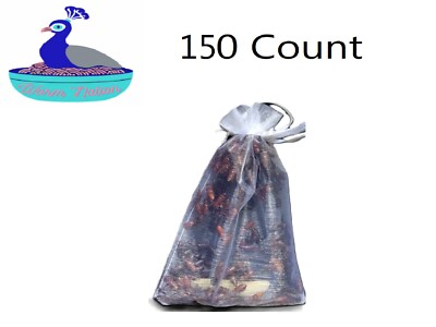 150 Live Darkling Beetles - Feeders or Mealworm Colony Starters - Priority Ship!