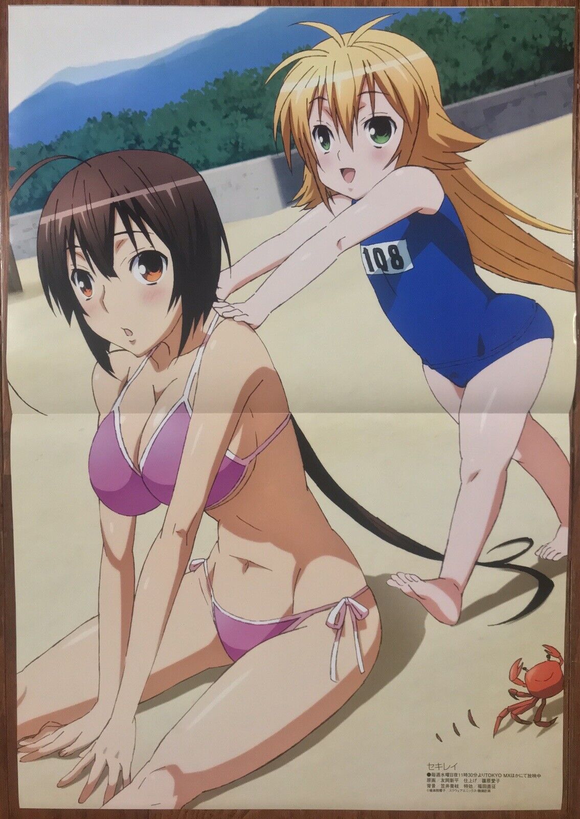 Strike The Blood Anime Poster – My Hot Posters