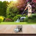 Bild 12 von 12