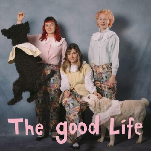 My Ugly Clementine The Good Life (Vinyl LP) 12" Album