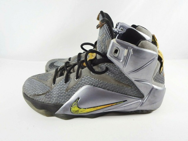lebron 12 grey