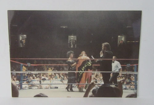 WWF Macho Man Randy Savage Original Type 1 WWF WWE Wrestling Ringside 1988/89