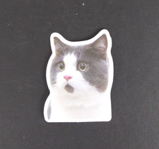 Cute Adorable Playful Kitty Cat Sticker 2.38" x 1.75" X