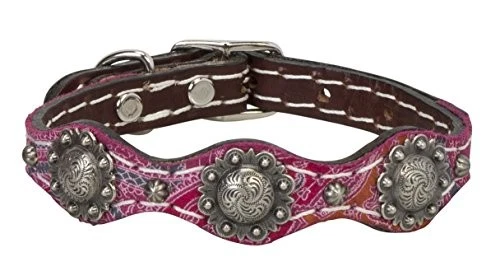 Weaver Leather Weaver Pet Vintage Paisley Collar Pink, 5/8" x 11"
